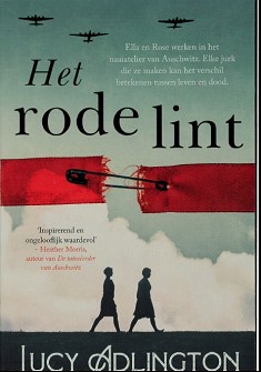 Rode lint